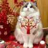 New Year cat scarf cloud collar style