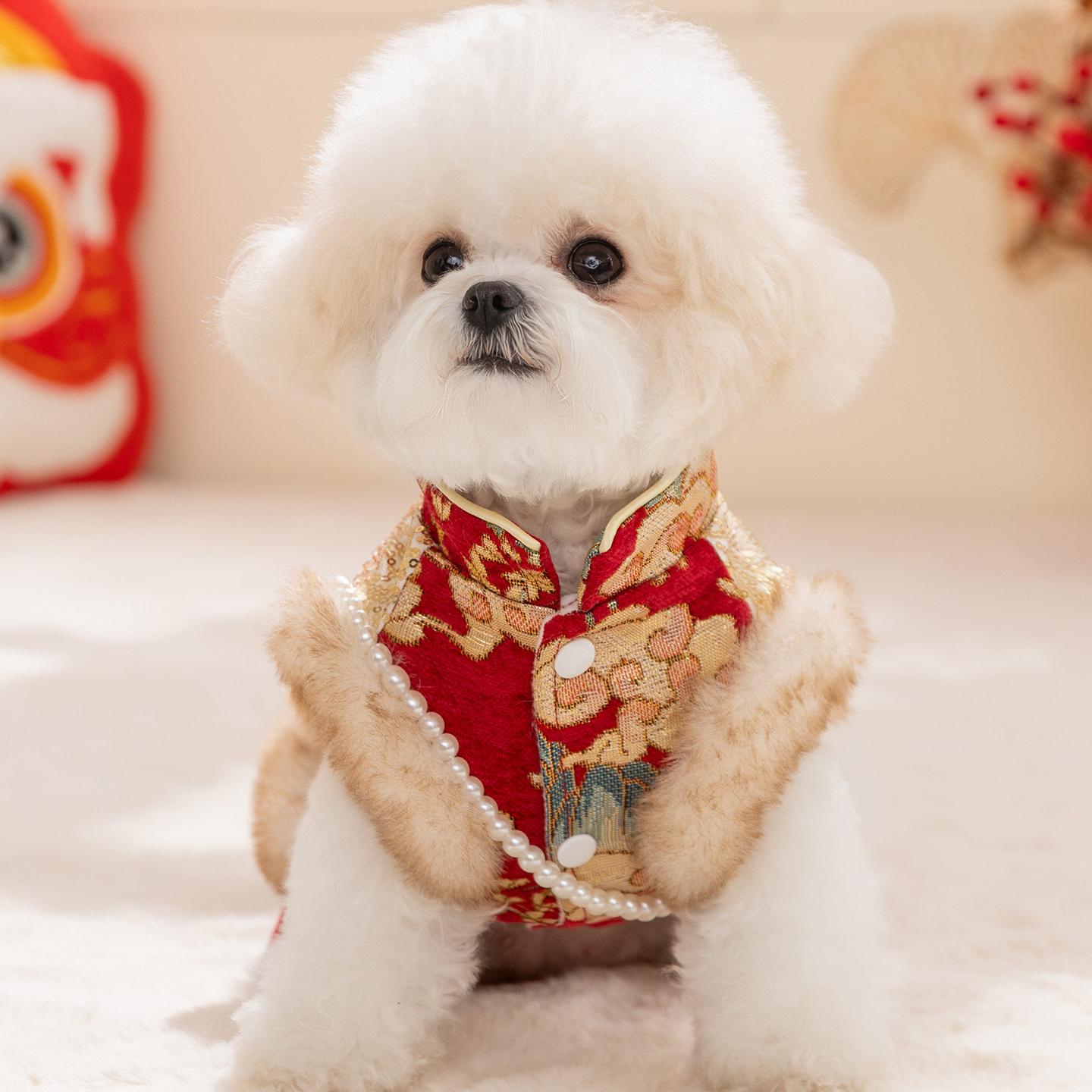 New Year Chinese Outfit For Dogs