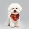 New Year Dog Scarf