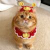 New Year God of Wealth set for cats